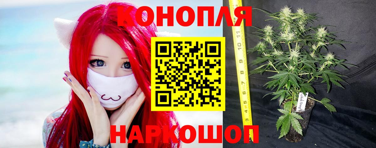 Орехово-Зуево  Каннабис AK-47  Шишки марихуана индика  Вход с VPN  Бошки марихуана AK-47 
